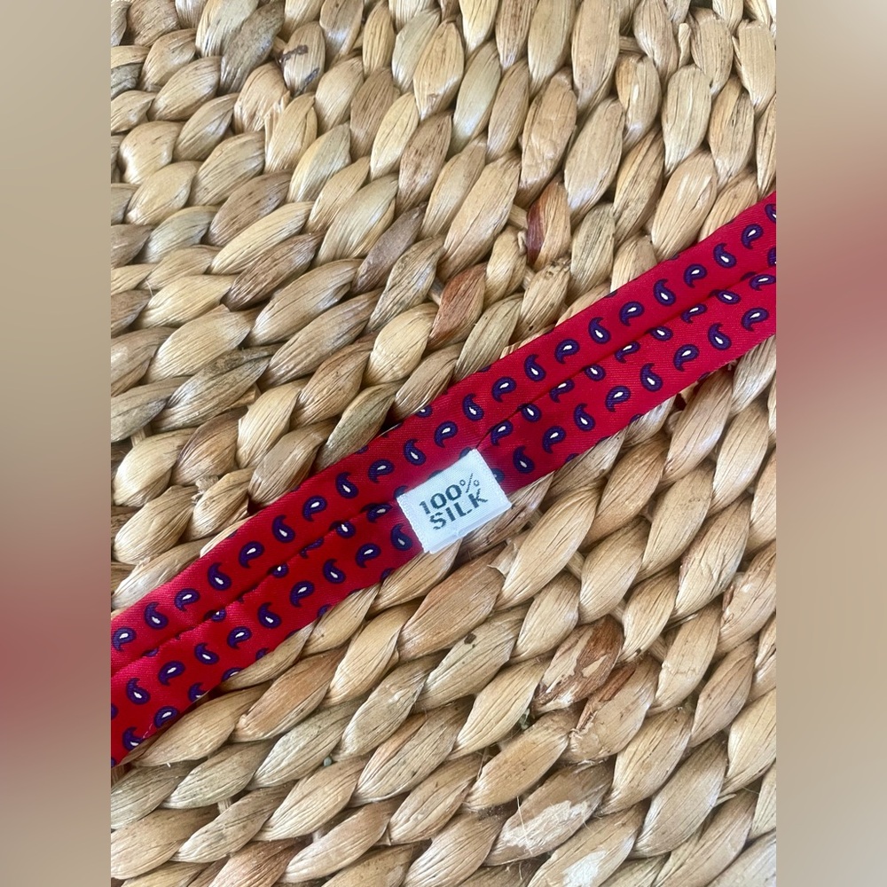 •VINTAGE•  Silk Tie Bundle - Picture 7 of 9